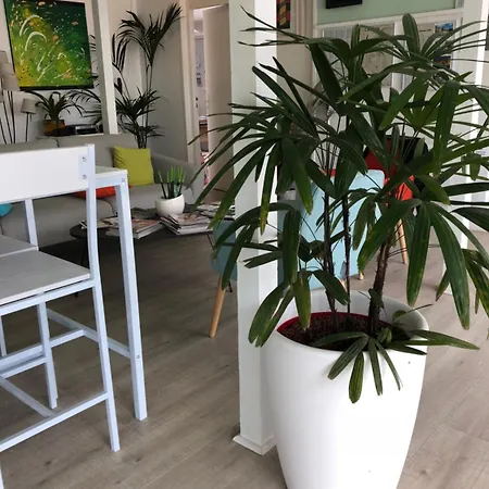Le 81 Hotel Castres (Tarn)