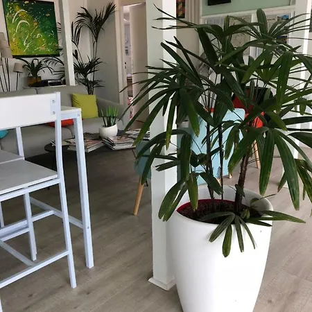 Hotel Le 81 3*